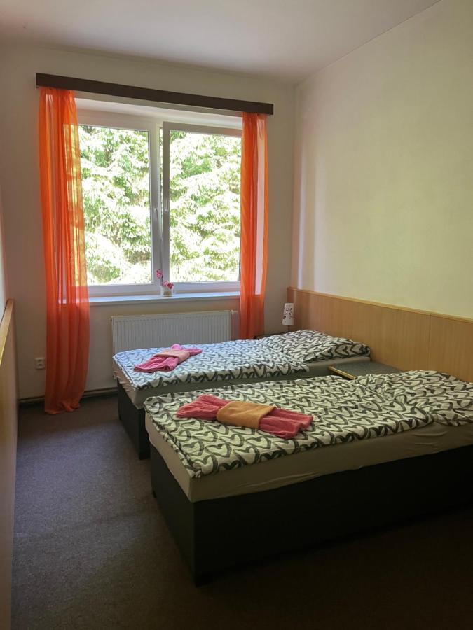 Apartman Novohradky 22 Benesov nad Cernou Ngoại thất bức ảnh