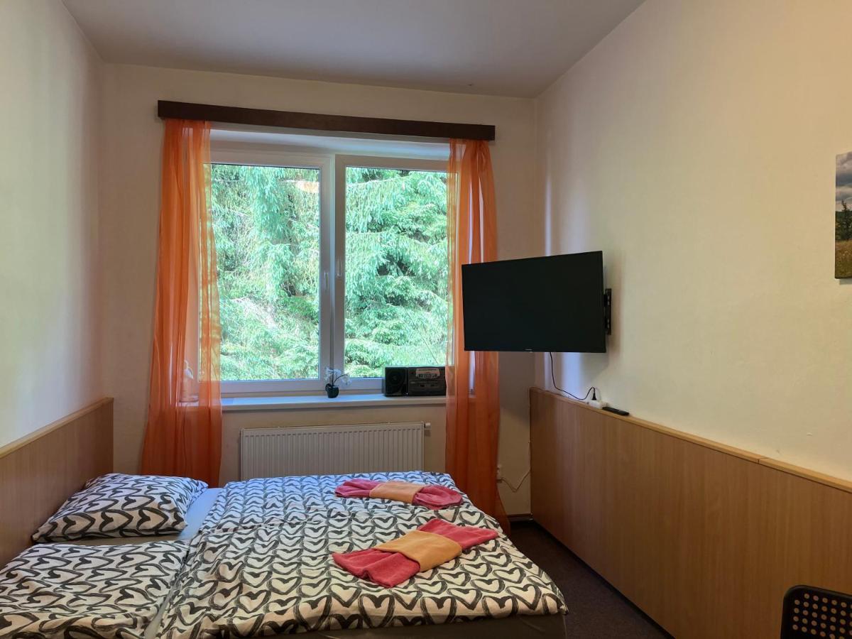 Apartman Novohradky 22 Benesov nad Cernou Ngoại thất bức ảnh